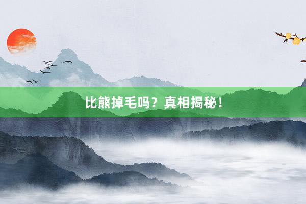 比熊掉毛吗？真相揭秘！