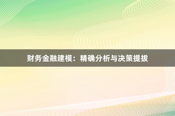 财务金融建模：精确分析与决策提拔